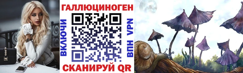 Галлюциногенные грибы Psilocybine cubensis  Купить закладки  Пионерский 