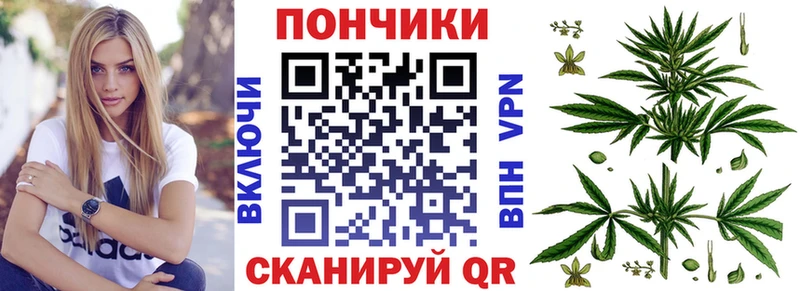 Купить где  Пионерский  МАРИХУАНА индика 